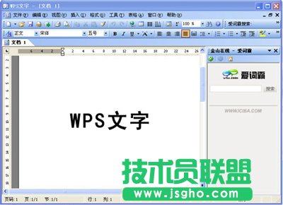WPS Office 2007ܻӭ