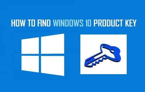 Windows 10 pro KEYʽ(win10)